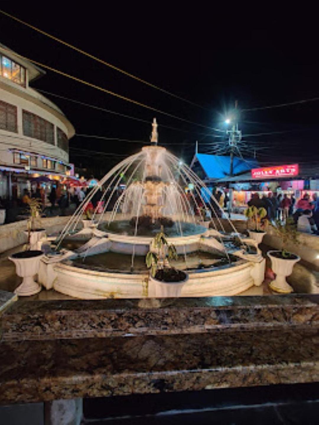 Готель View Point Residency , Darjeeling Дарджилінг Екстер'єр фото